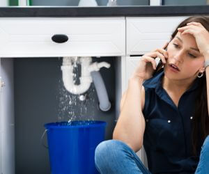 About Plumbers Pros Forman, ND